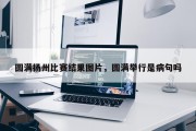 圆满扬州比赛结果图片，圆满举行是病句吗