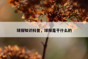 球探知识科普，球探是干什么的