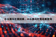 小斗赛马比赛结果，小斗赛马比赛结果查询