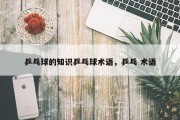 乒乓球的知识乒乓球术语，乒乓 术语