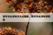 初学羽毛球知识大全图解，初学羽毛球视频教程