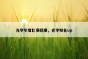 光宇年度比赛结果，光宇知名up