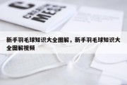 新手羽毛球知识大全图解，新手羽毛球知识大全图解视频