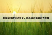 乒乓球术语知识大全，乒乓球术语知识大全集