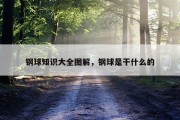 钢球知识大全图解，钢球是干什么的