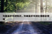 刘国梁乒乓球知识，刘国梁乒乓球比赛精彩视频