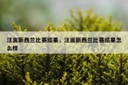 汪嵩新西兰比赛结果，汪嵩新西兰比赛结果怎么样