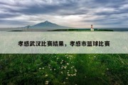 孝感武汉比赛结果，孝感市篮球比赛
