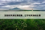 沈阳对天津比赛结果，辽宁对天津的比赛