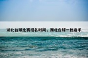 湖北台球比赛报名时间，湖北台球一档选手