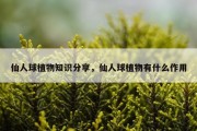 仙人球植物知识分享，仙人球植物有什么作用