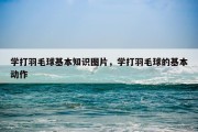 学打羽毛球基本知识图片，学打羽毛球的基本动作