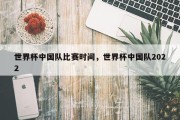 世界杯中国队比赛时间，世界杯中国队2022