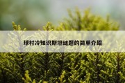 球村冷知识斯坦谜题的简单介绍