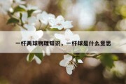 一杆两球物理知识，一杆球是什么意思