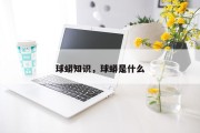 球蟒知识，球蟒是什么