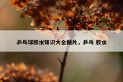 乒乓球胶水知识大全图片，乒乓 胶水