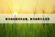 黑马体坛歌词大全集，黑马体质什么意思