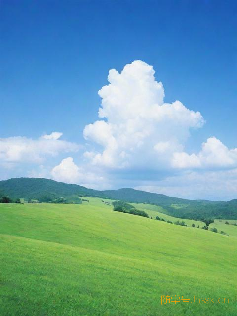 1999年8月23日生辰八字，1999年8月23日生辰八字用神