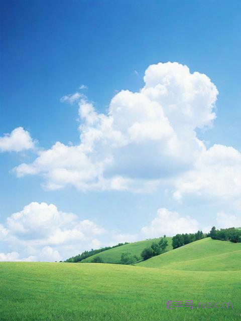 1998年5月21日生辰八字，1998年5月21日农历是多少?