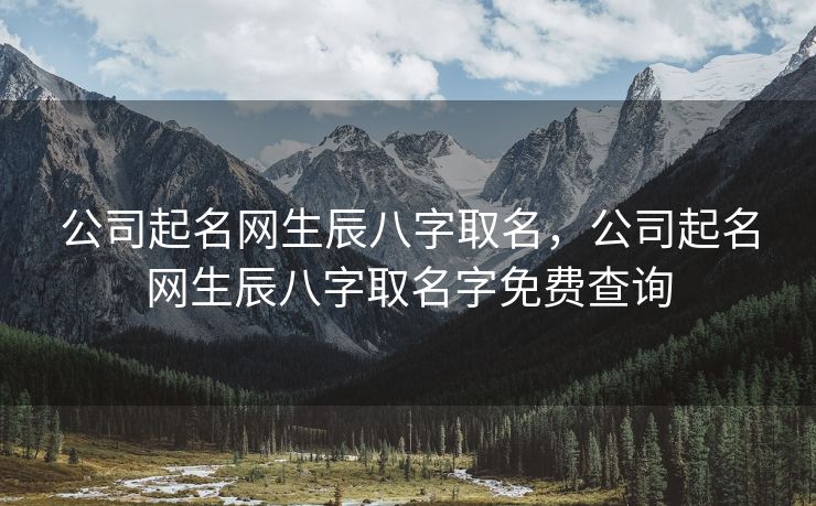 公司起名网生辰八字取名，公司起名网生辰八字取名字免费查询