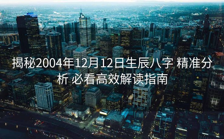 揭秘2004年12月12日生辰八字 精准分析 必看高效解读指南