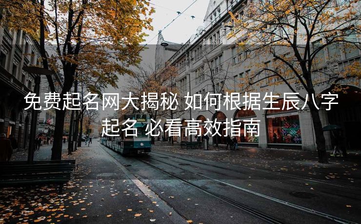 免费起名网大揭秘 如何根据生辰八字起名 必看高效指南