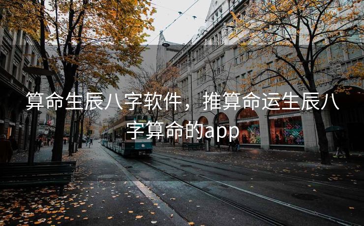 算命生辰八字软件，推算命运生辰八字算命的app