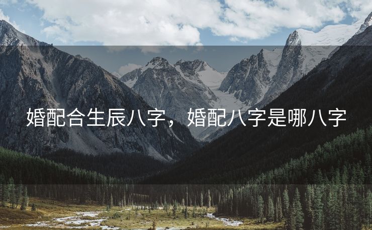 婚配合生辰八字，婚配八字是哪八字