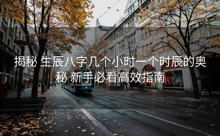 揭秘 生辰八字几个小时一个时辰的奥秘 新手必看高效指南