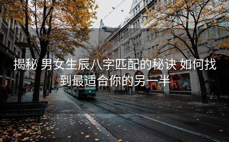 揭秘 男女生辰八字匹配的秘诀 如何找到最适合你的另一半