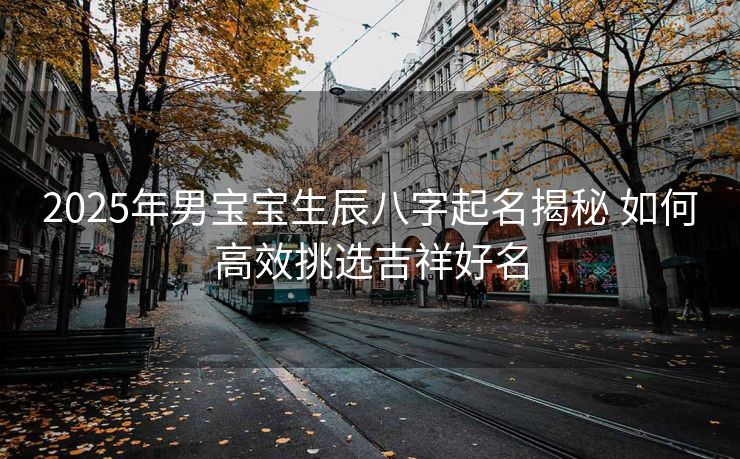 2025年男宝宝生辰八字起名揭秘 如何高效挑选吉祥好名