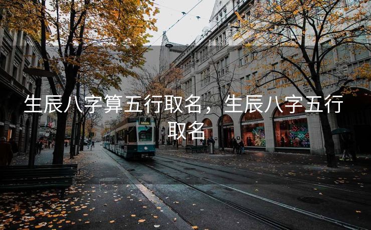 生辰八字算五行取名，生辰八字五行 取名