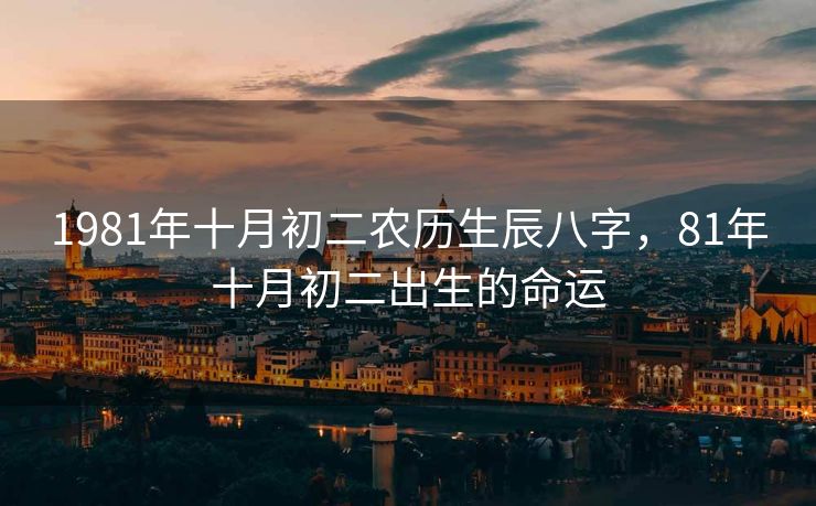 1981年十月初二农历生辰八字，81年十月初二出生的命运