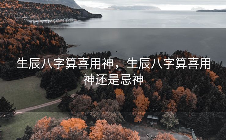 生辰八字算喜用神，生辰八字算喜用神还是忌神