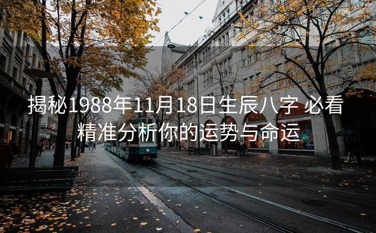 揭秘1988年11月18日生辰八字 必看 精准分析你的运势与命运