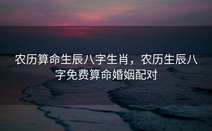 农历算命生辰八字生肖，农历生辰八字免费算命婚姻配对