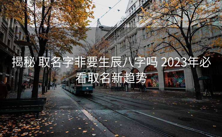 揭秘 取名字非要生辰八字吗 2023年必看取名新趋势