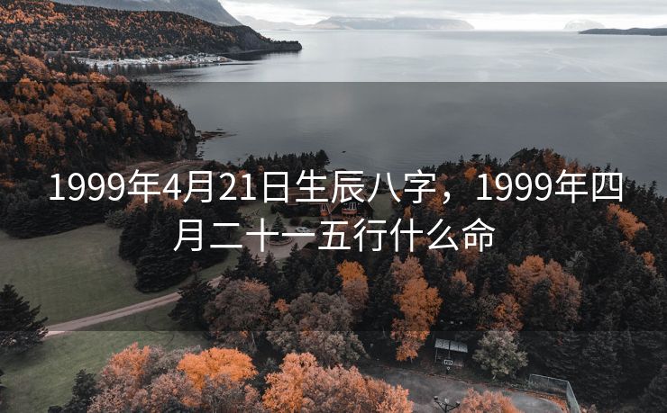 1999年4月21日生辰八字，1999年四月二十一五行什么命