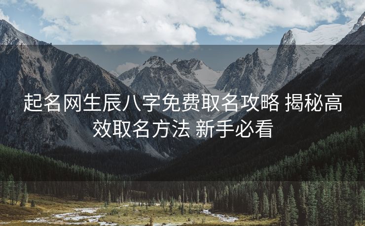 起名网生辰八字免费取名攻略 揭秘高效取名方法 新手必看