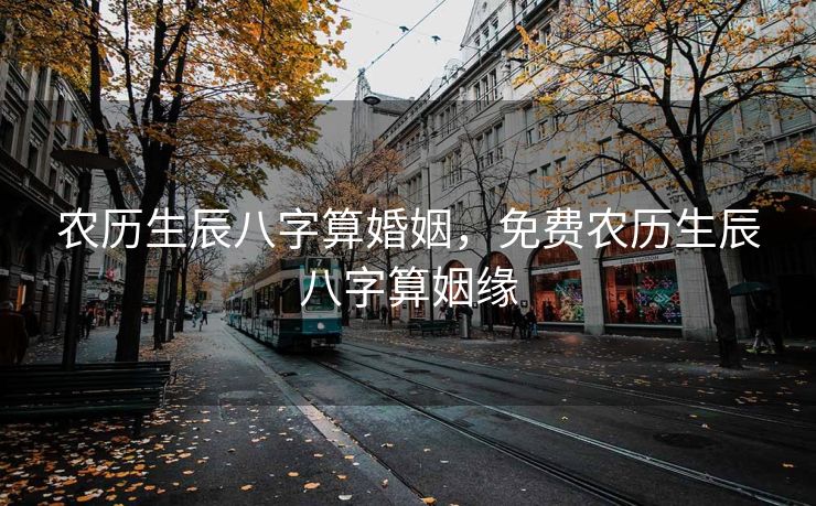 农历生辰八字算婚姻，免费农历生辰八字算姻缘