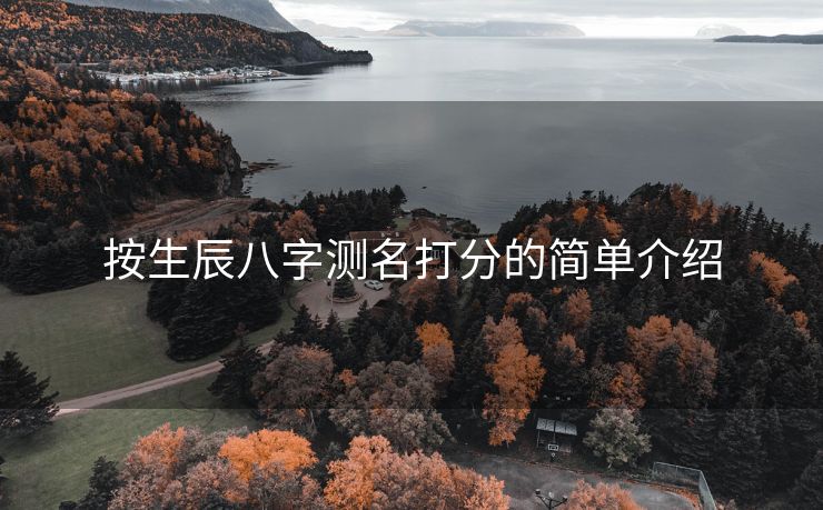 按生辰八字测名打分的简单介绍