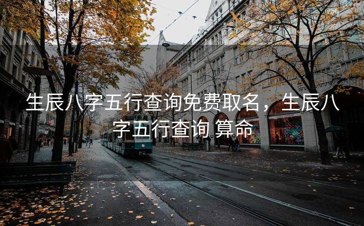 生辰八字五行查询免费取名，生辰八字五行查询 算命