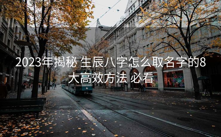 2023年揭秘 生辰八字怎么取名字的8大高效方法 必看