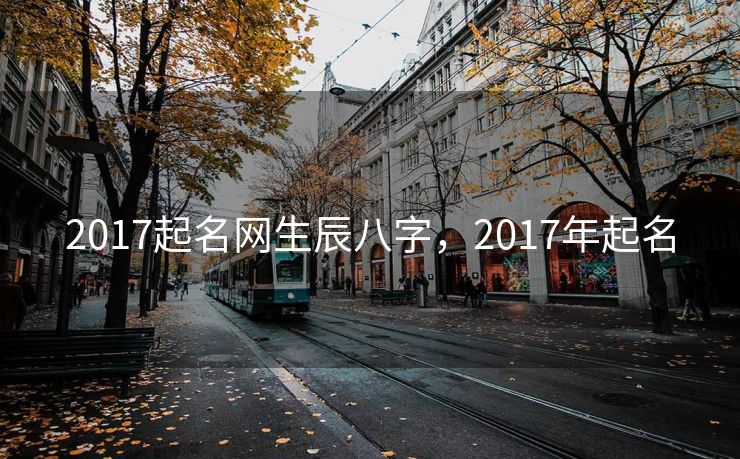 2017起名网生辰八字，2017年起名