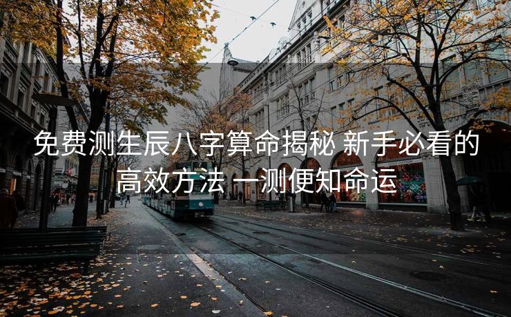 免费测生辰八字算命揭秘 新手必看的高效方法 一测便知命运