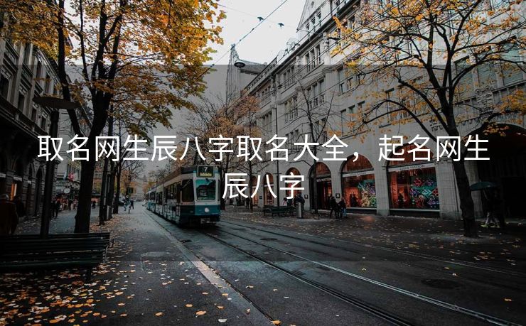 取名网生辰八字取名大全，起名网生辰八字