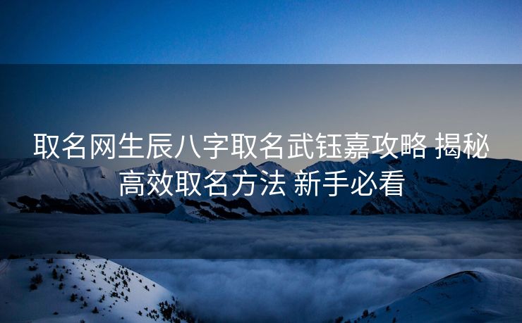 取名网生辰八字取名武钰嘉攻略 揭秘高效取名方法 新手必看