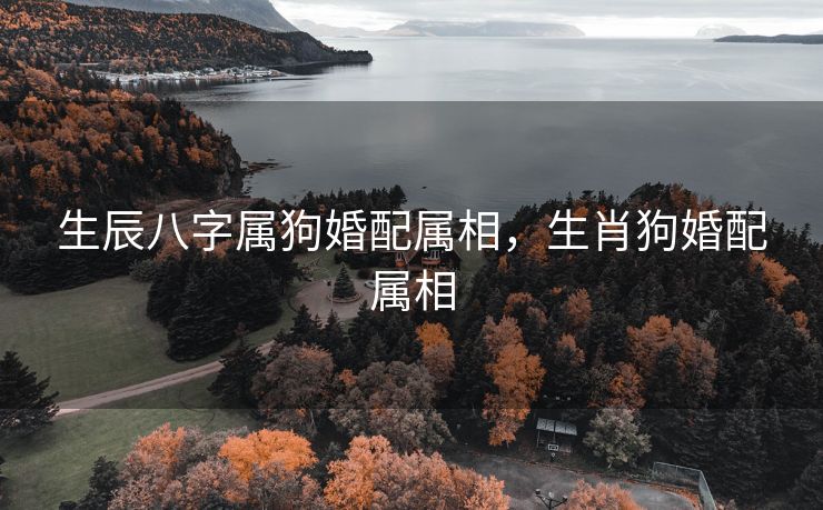生辰八字属狗婚配属相，生肖狗婚配属相