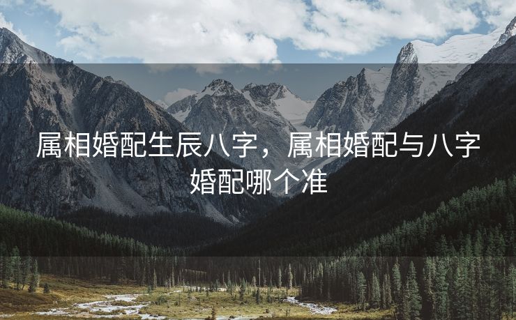 属相婚配生辰八字，属相婚配与八字婚配哪个准